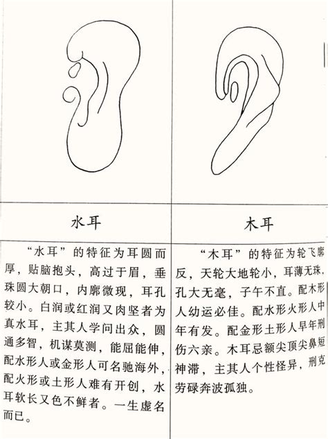 耳型 面相|16种耳相图解